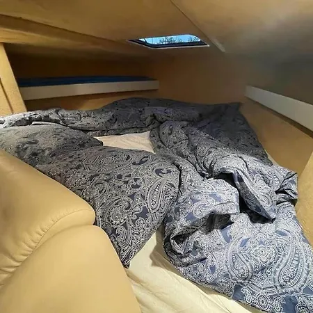 Adamas 파시토 블란코